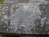image of grave number 94626